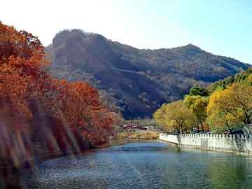 管家婆黑白马报图库，增资费用